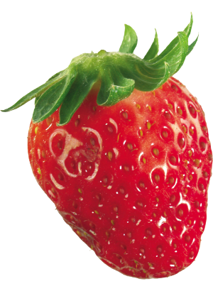 Strawberry Base (Economy)