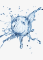 HyaCoat™ (Cationic Hyaluronic Acid)