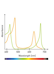 DNA Measurement using UV-VIS