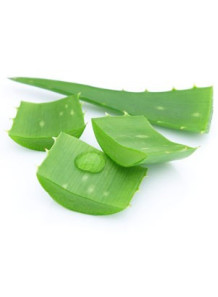  Aloe Vera Oil (Infused)