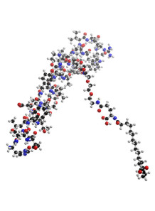 Semaglutide