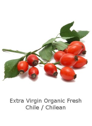 Rose Hip Oil (Extra Virgin Organic)