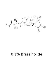 Brassinolide (0.1% Water...