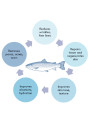  Salmon DNA (PDRN, Polydeoxyribonucleotide, 90% Freeze-Dried Floc)