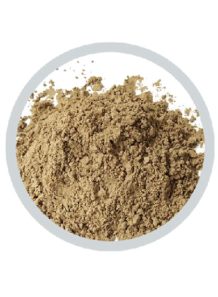 Noni Fruit Powder (Air Dried)