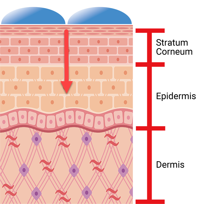 Hyaluronic Acid (Super Low Molecule, 7000daltons)