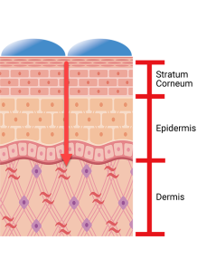 Hyaluronic Acid (Nano...