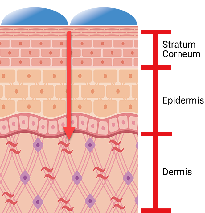 Hyaluronic Acid (Nano Molecule, 2000daltons)