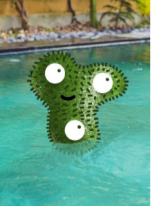 Moss Remover (Algaecide For...