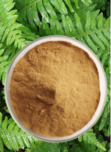 Polypodium Leucotomos Extract