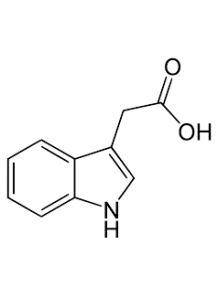 Indole-3-Acetic Acid (IAA) 98%