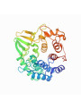 PlaqueCare™ (alpha-1,3-Glucanase)