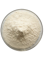  Green Tea Extract (EGCG 98%, Decaffeinated)