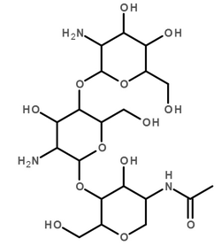 Chito-Film™ (Hydroxypropyl chitosan)