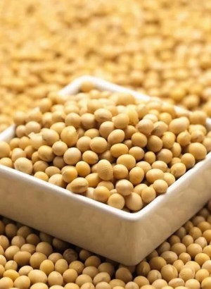 Isoflaqua™ (Water Soluble Soy Isoflavones)