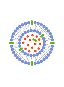 NanoRes™ (Liposome 4-Butyl...