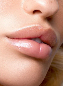 LipX®-Elastyl (Palmitoyl...