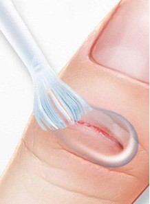 Liquid Plaster (Low Odor,...