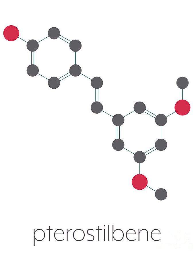ActiveRelease™ Pterostilbene (Resveratrol Dimethyl Ether, Encapsulation)