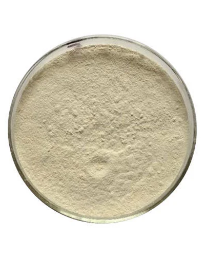 Tamarind Seed Scrub (สครับมะขาม 100Mesh)