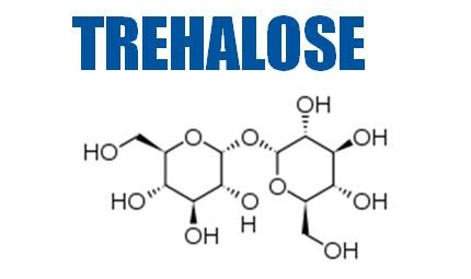 Trehalose (Powder) ทรีฮาโลส (ผงละเอียด)