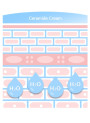 Cera-Flux VX (Water Dispersible Ceramide Complex, 5 Types)