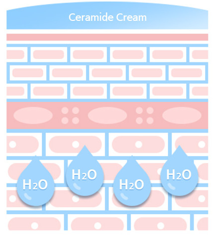 Cera-Flux VX (Water Dispersible Ceramide Complex, 5 Types)