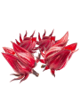 Roselle Extract สารสกัดจากกระเจี๊ยบแดง (Water-Soluble)