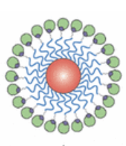ActiveRelease™ Biotin