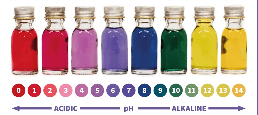 Red Cabbage Pigment (Natural Pigment Powder)
