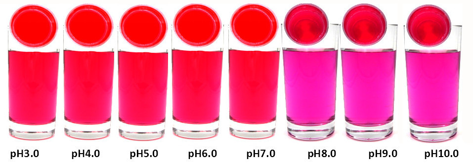 Beet Root Red Pigment (Natural Pigment, Powder)