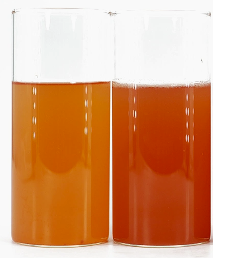 Strawberry Natural Water Soluble Color