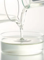 MYFerment™ Barrier (Lactococcus Ferment Extract)