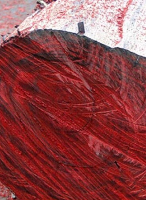 Bois De Rose (Rosewood) Oil Brazil