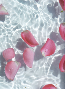 Dried rose buds (for...
