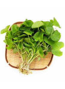 Centella Acids (Madecassic...
