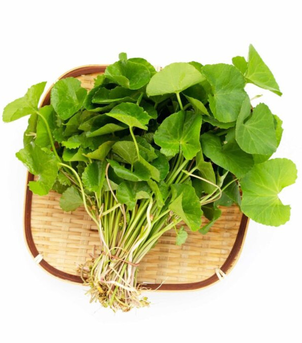 Centella Acids (Madecassic acid, Asiatic acid, 90%)