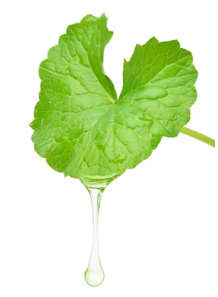LipX®-Centella Oil