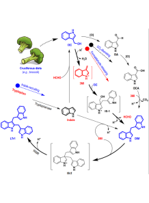 Indole-3-carbinol (I3C)
