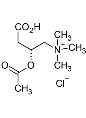 acetyl l carnitine structure L-Carnitine vs Acetyl-L-Carnitine: Key Differences main image 1