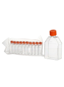 Culture Flask (T25,...