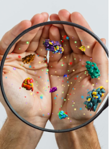 NuBiome™ (Skin Microbiome)