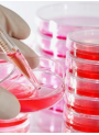 Sterile Anticoagulated Sheep Blood(200ml)