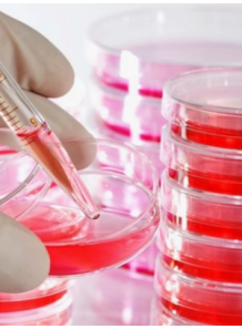 Sterile Defibrinated Lysed...