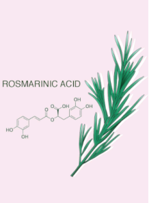 Micromul™ Rosmarinic...