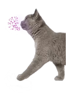 CalmPaws™ (Cat Pheromone,...