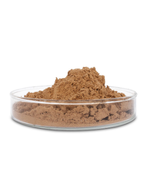 Protease Enzyme (for Washing/Cleaning, ชนิดผง)
