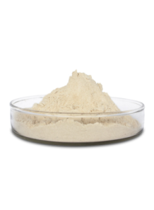 Lipase Enzyme...
