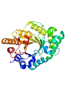 Hemicellulase (50,000u/g,...