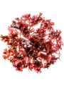  Astaxanthin (3.0%, Non-Soluble, For Capsule/Tablet)
